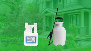 Affordable way to banish termites from your yard. Here S How Easy Diy Pest Control Can Be Clark Howard