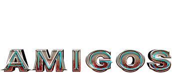نتیجه جستجوی لغت [amigos] در گوگل