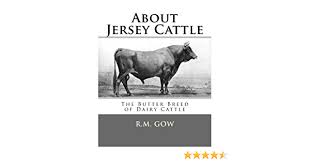 It is one of three channel island cattle breeding jersey cows using artificial insemination. About Jersey Cattle The Butter Breed Of Dairy Cattle Gow R M Chambers Jackson Amazon De Bucher