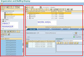 Sap Ppoce How To Create An Organizational Unit