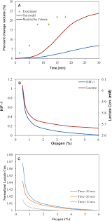 What happens during the process of glycolysis? Computational Modeling To Determine Key Regulators Of Hypoxia Effects On The Lactate Production In The Glycolysis Pathway Scientific Reports