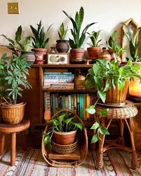 T S Plant Care Day Over Here I Move Each Plant Into The Kitchen To Water Them It S Super Time Consuming But Plant Decor House Plants Decor Interior Plants