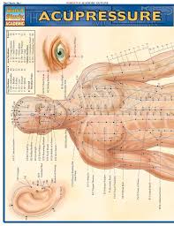 acupressure laminated study guide 9781572228399 beauty