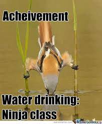Pin On Too Funny