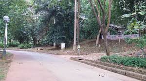 Jadi untuk itu kita kena tahu dulu keadaan sebenar taman botani putrajaya. Mohd Faiz Bin Abdul Manan Taman Botani Putrajaya