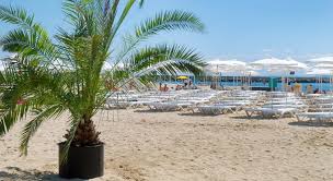 Citizens and permanent residents of bulgaria, as well as residents from eu schengen area (eu countries, iceland, liechtenstein, norway. Hotel Lebed Constantin Si Elena Bulgaria 2021 Oferte Travel Planner