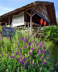 No preservatives, colorings or any other foreign substances are added into our products from the moment our cows are milked to the time it reaches your. Mini Bus Farm Tour Package Uk Farm Sdn Bhd