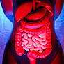 "intestino irritable" "colon irritable" evitar de www.infobae.com