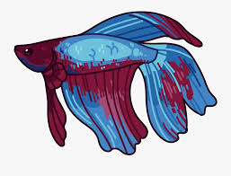In the canals and rice paddies of their. Picture Black And White Betta Drawing Angry Fighter Fish Png Clipart Free Transparent Clipart Clipartkey