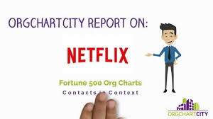Netflix Org Charts Video By Orgchartcity Youtube