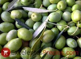 Olive Oil Yield 10 15 20 Why Does The Fat Yield Vary