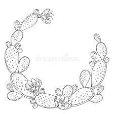 While the christmas cactus stems hang down like a pendent, the thanksgiving cactus has stems that grow upright at first and then arch. Newest No Cost Cactus Flower Outline Thoughts Cacti And Succulents Are Usually Crops Of Which I Have Continu Cactus Drawing Flower Outline Prickly Pear Cactus