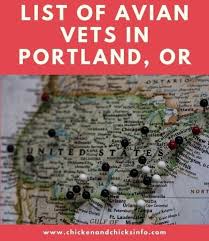 This goes quadruple for exotic felines of any type. List Of Avian Vets Portland Bird Healthcare Chicken Chicks Info