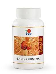 GL Powder