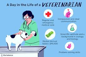 Pin By Tatiana Valle On Business Project Vet Jobs Veterinarian Emergency Medical