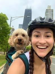 Ashley Przybysz's Instagram, Twitter & Facebook