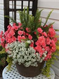 40 Pretty Front Door Flower Pots For A Good First Impression 4 Flowers Basketflower Garden Container Flowers Container Gardening Flowers Flower Pots Outdoor