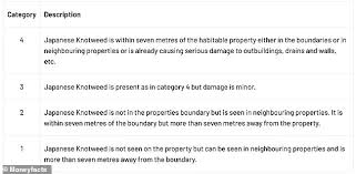 Knotweed can pierce tarmac and even concrete, causing serious damage to infrastructure. We Are Planning To Sell Our Home But Suspect Japanese Knotweed This Is Money