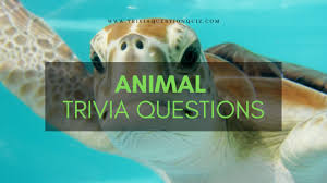 Among these were the spu. Animal Trivia Questions Quiz For Knowledge Trivia Qq