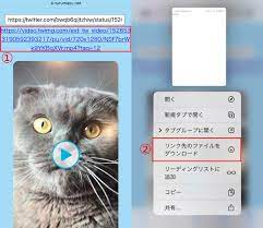 Twitter動画を簡単に保存しまっせ！」Twi-dougaで動画保存する方法 - OTONA LIFE | オトナライフ