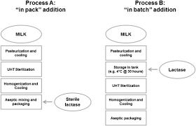 the quality of low lactose milk is affected by the side