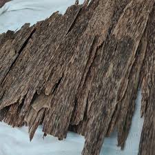 Keistimewaan kayu gaharu, jika berminat menanam gaharu untuk budidaya silahkan inbox wa 082313388566 hadits. Jual Kayu Gaharu Super Asli Kalimantan Gkla01 Kota Depok Energi Kayu Langka Tokopedia