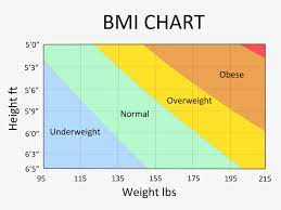Your bmi is 18.5 to 24.9 Die Eigene Taille Messen 8 Schritte Mit Bildern Wikihow