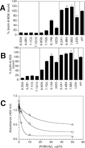 Function-blocking Integrin αvβ6 Monoclonal Antibodies