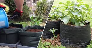 One piece i've always wanted in my kitchen was a potato and vegetable bin. Growing Potatoes In Containers A Roundup Of The Best Ideas Gardening Channel