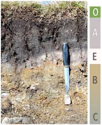 Residue in a moderately humid climate (colman, 1982; 8 5 Weathering And Soil Formation Physical Geology First University Of Saskatchewan Edition