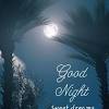 Ce message bonne nuit est le seul cadeau que je puisse t'offrir actuellement qu'on est si loin l'un de l'autre. 3