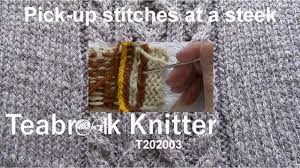What, why, and how many a pattern instructs the knitter to, at one point, pick up stitches from a completed piece of knitting and continue on with the next part or piece of a project—for example, picking up stitches around an armhole to knit a sleeve down to the cuff. Pick Up Stitches At A Steek T202003 Teabreak Knitter