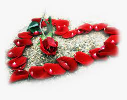 Our floral photography provides you with a diverse variety of flowers ranging from beautiful red roses to colorful tulips to graceful orchids. Transparent Rose Heart Png Rose Beautiful Love Flowers Png Download Kindpng