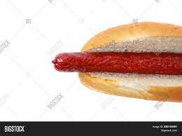 Enriched wheat flour (wheat flour, barley malt, niacin, iron, thiamin. Footlong Hot Dog Bun Image Photo Free Trial Bigstock