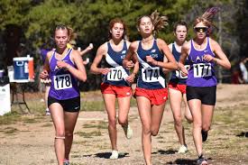 Great Results From Last Weekends Sporting Events! – Lake County School  District