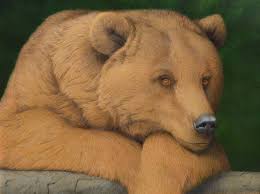 Don T Be Fooled By Good Looks By Tom Palmore Bear Paintings Bear Art Bear Illustration