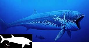 We did not find results for: World S 10 Biggest Animals Of All Time Wordlesstech