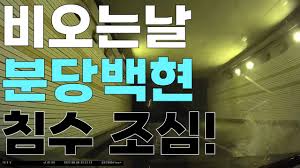 자동차보험 자차 중 단독사고 넣으셨나요? - 클리앙