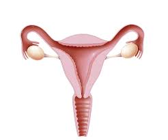Women presenting with symptoms of ovarian cancer often receive a diagnosis of ibs, diverticulitis, urinary tract infection or changing menopausal status. I Mistook My Ovarian Cancer Symptoms For Ibs