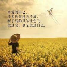 pin by 琪麦on 2 motivation 激励语录 chinese quotes cool words life quotes