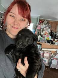 Upcoming breeding of dogs with Kamala Khan and potential for great offspring