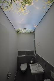 Decke Beleuchtet Komplett Indirekt Wald Forest Ceiling Light Spanndecken Gaste Wc Gaste Wc Gestalten