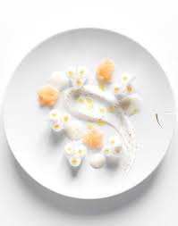 Repin Theartofplating Alo Eacute V Eacute Ra Poch Eacute Et Rafra Icirc Chi Au Pamplemousse Rose Faiselle Poivr Food Plating Culinary Arts Culinary Artist