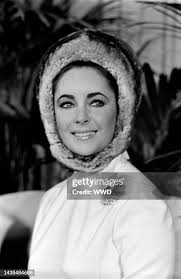 728 Webb Stone Stock Photos, High-Res Pictures, and Images