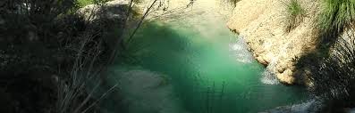 Natural Pools Or Swimming Ponds Insteading