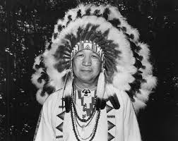 Image result for native americans in Florida