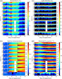 Medebacherin isabel petri da silva will arme kinder in brasilien unterstützen. Bg Factors Controlling Plankton Community Production Export Flux And Particulate Matter Stoichiometry In The Coastal Upwelling System Off Peru