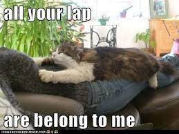 Pin On Silly Beasts