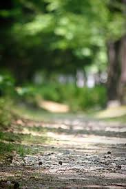 Life Is A Journey Photoshop Backgrounds Blur Background Photography Dslr Background Images Here are some of the. pinterest
