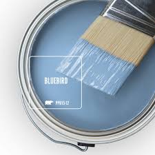 Check spelling or type a new query. Color Of The Month Bluebird Colorfully Behr